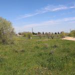 Sara Hernández denuncia que la Comunidad de Madrid rechaza 3 parcelas para residencias públicas en Getafe