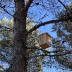 Getafe refuerza la biodiversidad con la instalación de cajas nido y refugios para reptiles.
