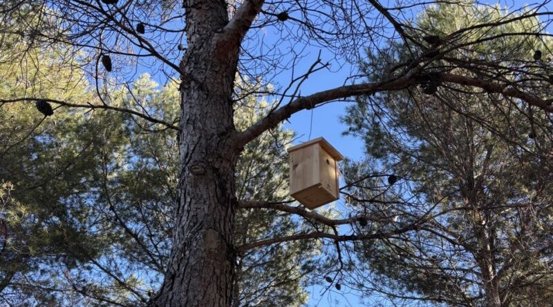 Getafe refuerza la biodiversidad con la instalación de cajas nido y refugios para reptiles.