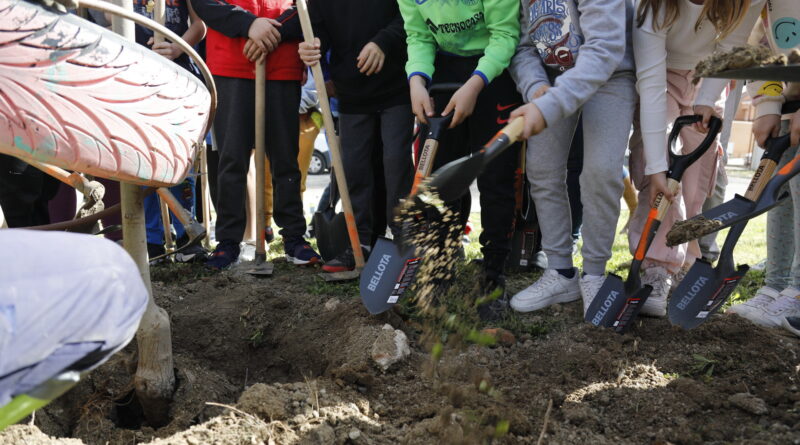Getafe plantará más de 1.000 nuevos árboles con las familias de la ciudad