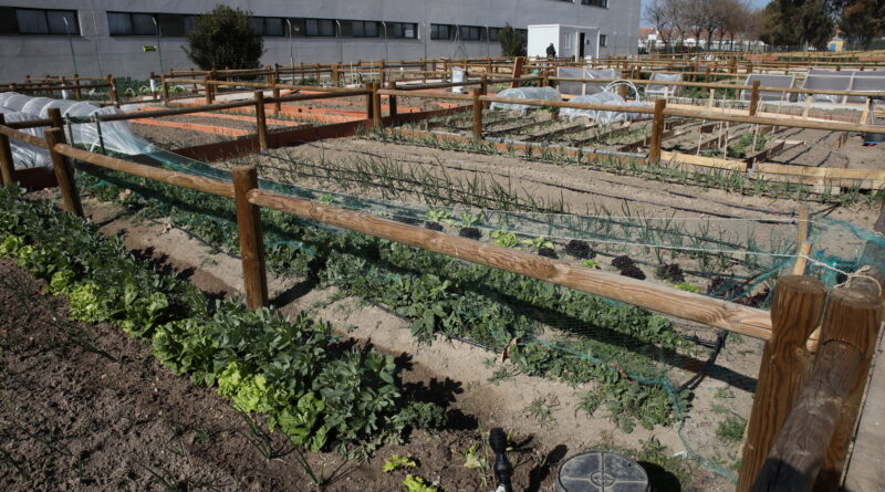 Getafe se suma al Plant Based Treaty para una alimentación más saludable y sostenible