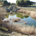 Policía Local detiene a tres personas que intentaban robar vallas en las Lagunas de Horna
