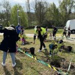 Leganés se suma al convenio entre IMIDRA y la FMM y recibirá árboles y arbustos para potenciar la reforestación de la ciudad