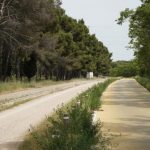 La Comunidad de Madrid abre la posibilidad de recuperar el doble sentido de la vía pecuaria de Perales del Río