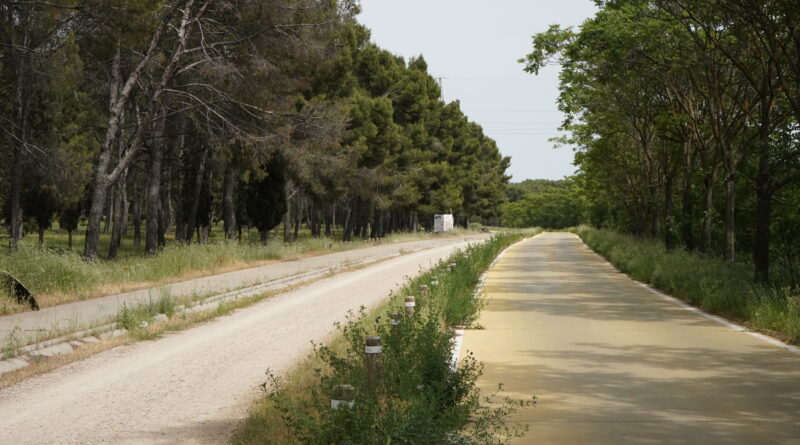 La Comunidad de Madrid abre la posibilidad de recuperar el doble sentido de la vía pecuaria de Perales del Río