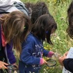 La Comunidad de Madrid organiza campamentos infantiles gratuitos en Arroyomolinos para conocer el entorno natural de la región