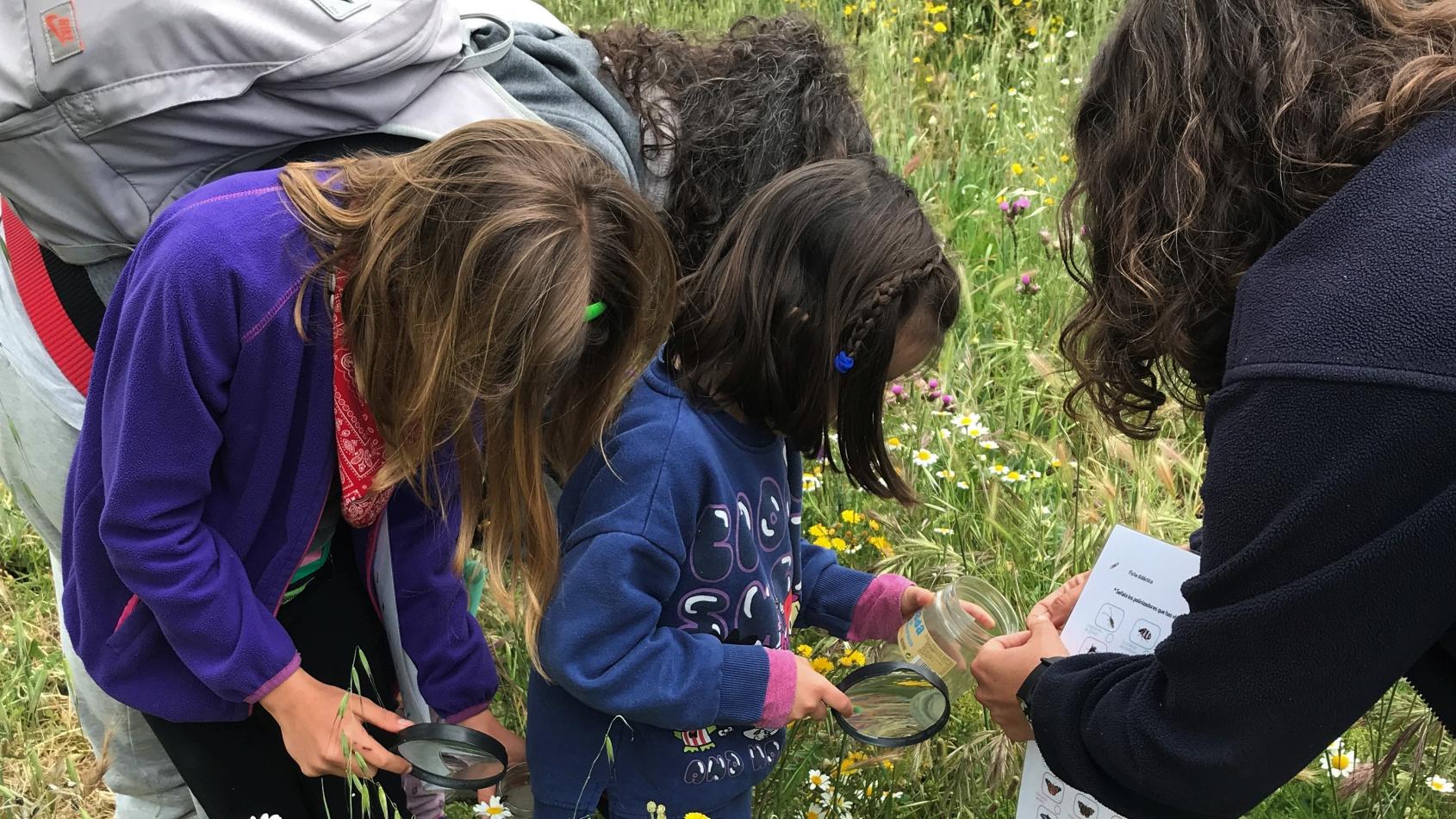 La Comunidad de Madrid organiza campamentos infantiles gratuitos en Arroyomolinos para conocer el entorno natural de la región