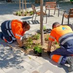 Pinto impulsa la empleabilidad de parados de larga duración mayores de 52 años