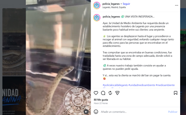 Agentes de la Policía Local de Leganés recuperan una serpiente que se había colado en un bar