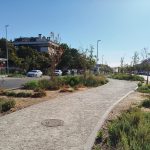 La Fundación Biodiversidad avala el proyecto ‘Pinto en Verde’ y felicita al Ayuntamiento por su ejecución en plazo