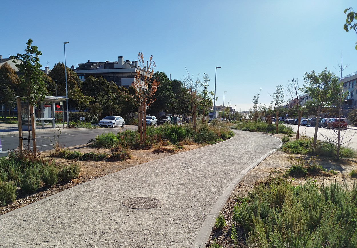 La Fundación Biodiversidad avala el proyecto ‘Pinto en Verde’ y felicita al Ayuntamiento por su ejecución en plazo